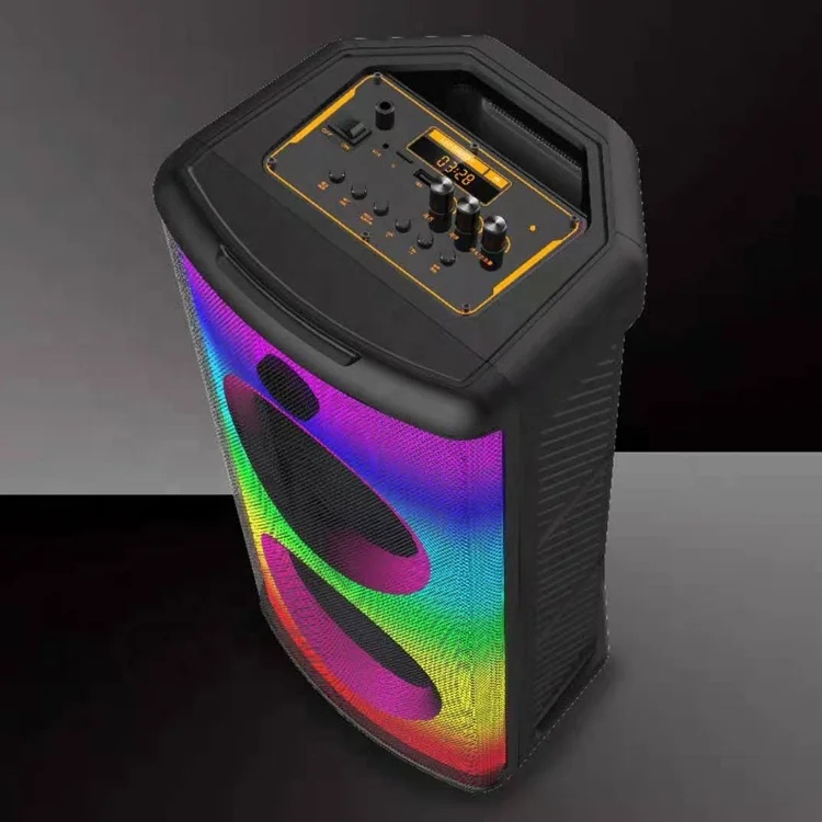 Double 6.5 Inch Karaoke Party Dj Speaker With Display Screen And Two Wireless Mic