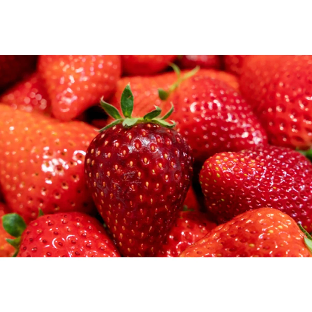 Conical shape fresh berries agricultural technology strawberry farm growing