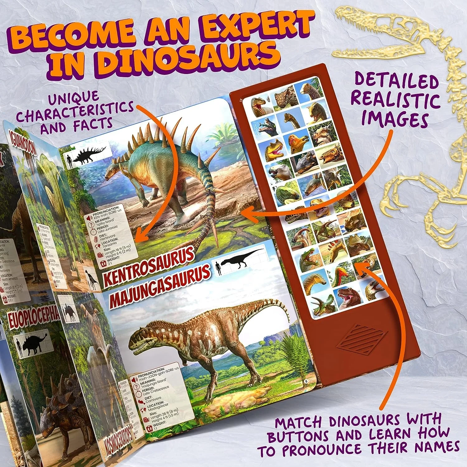 Dinosaur Book with 30 Species Facts Names and Realistic Sounds for kids learning