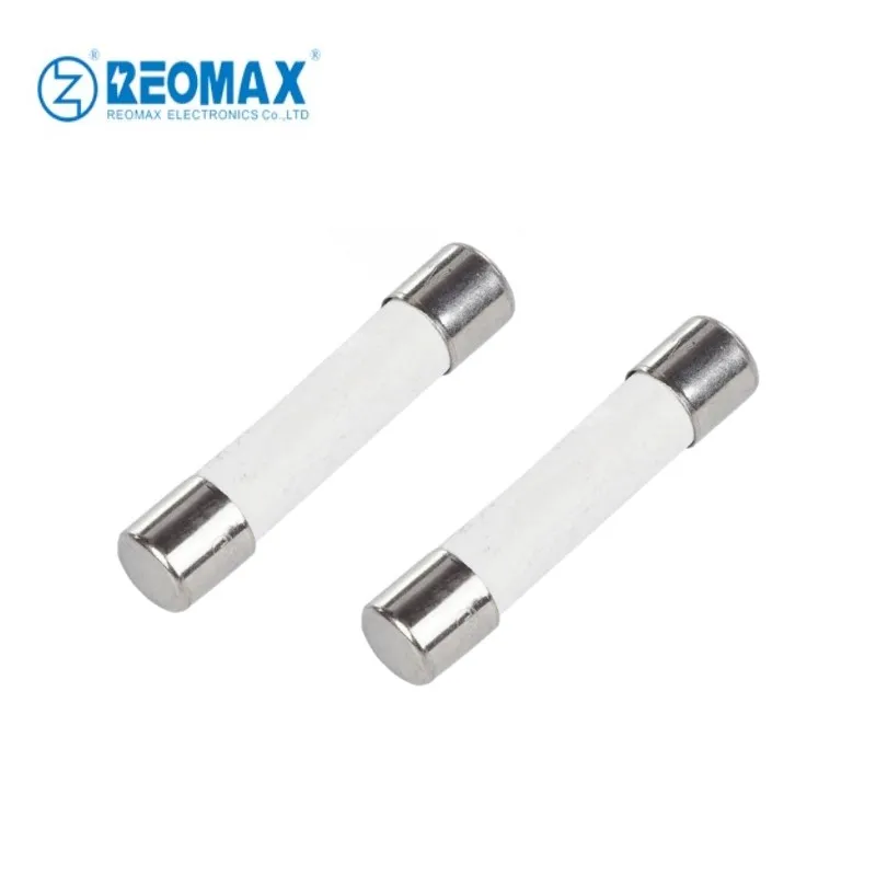 High Quality 250V Ceramic Tube Fuse 6x30mm 6.35x32mm 200mA-50A Fast Acting Time Lag Ceramic Fuses
