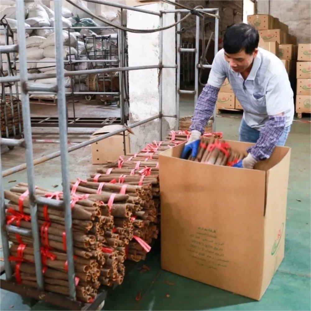 Low Market Price High-Quality Natural Single Spices Cube Cinnamon Vietnam Tube Round Cinnamon Cassia Seed Sauce Stew Seasoning