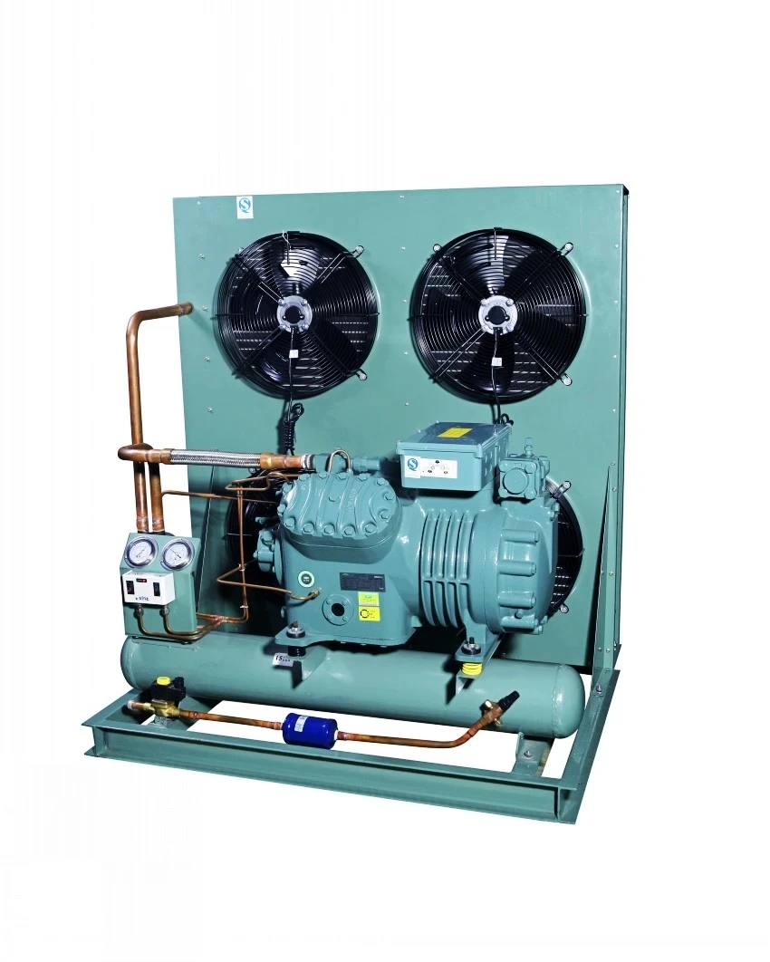 Compressor condensing unit from truck refrigeration unit manufacturer