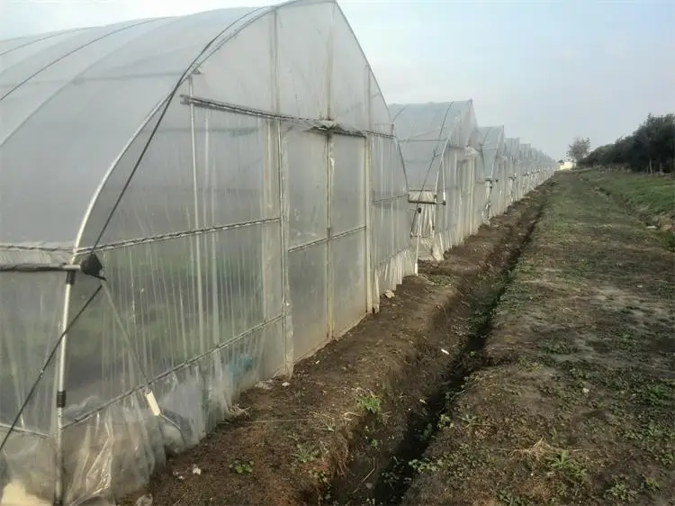One one  High strength Agricultural poly tunnel Green House/tomato greenhouse for sale