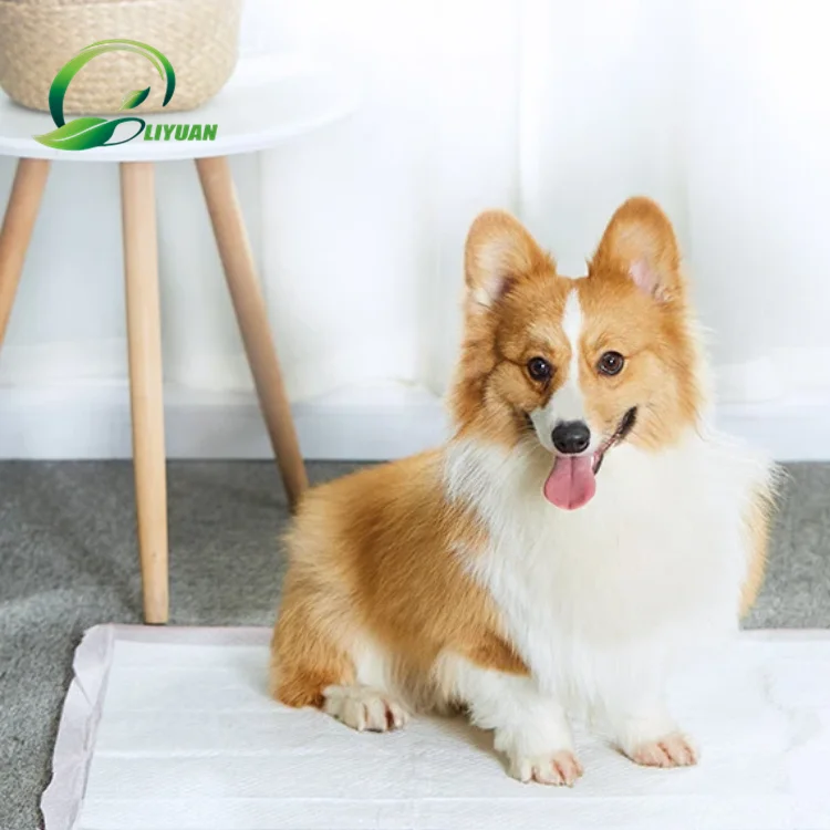 
High Quality Puppy Training Pad Super Absorbent Dog Mat Pet Pad Potty pad 60*90cm 