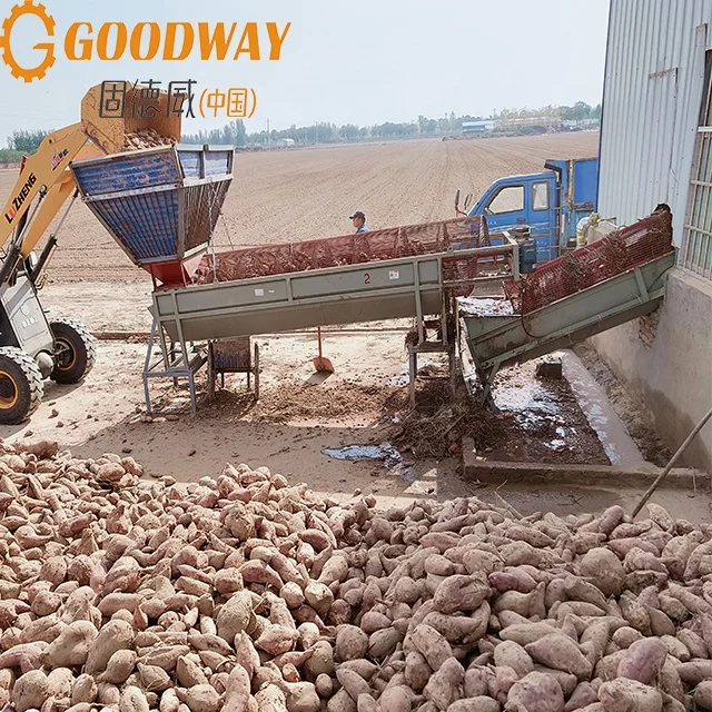 Good Quality Cassava Machine Cassava Flour Powder / Fufu Flour Processing Production Machinery