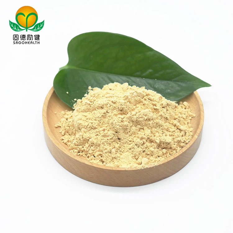 Organic Mushroom  Hericium Erinaceus Extract Powder