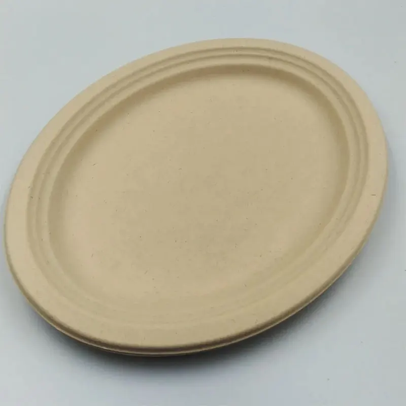 Kids Birthday Party 7 Inch Compostable Oven Safe Paper Plate Disposable