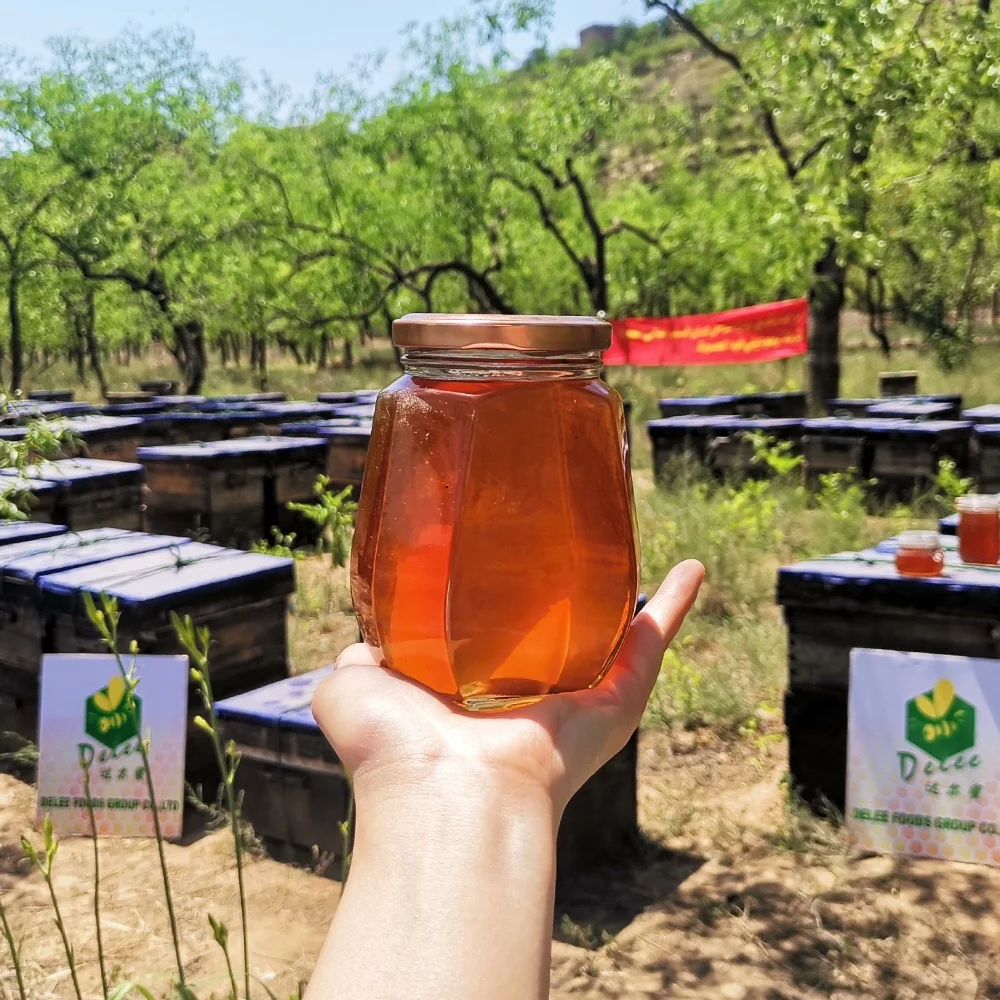 Honey Bee Yemen standard Sidr Honey 100% natural for wholesale and bulk