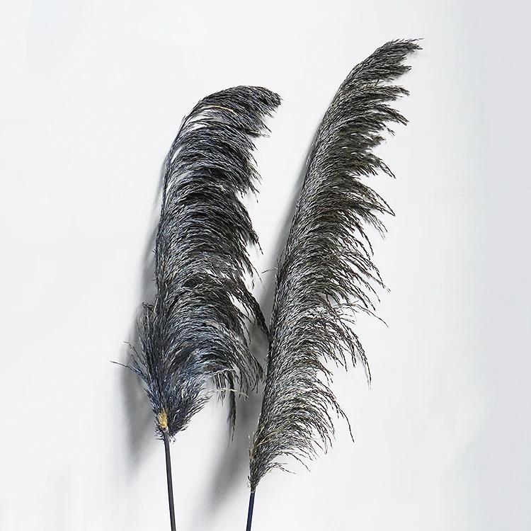 GH-47 Amazon source manufacturers cheap wholesale natural dried flowers hardcore reeds wedding decorations decorative flowers