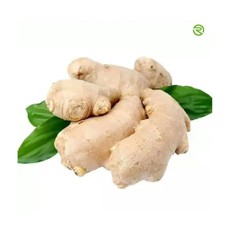 
Hot Sale 2020 China New Crop Fresh Ginger in Good Taste 