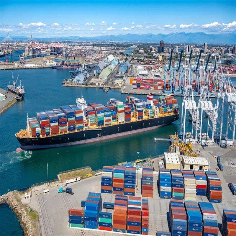 China shipping company FCL freight forwarder from China to Rio Haina Port au Prince Kingston