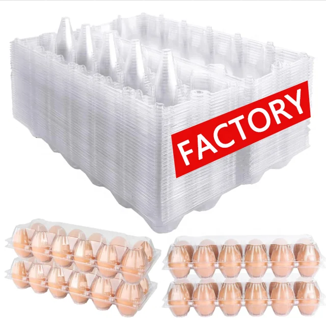 Recyclable Wholesale Plastic Box For Eggs 12 Eggs Box Packaging Container For Eggs