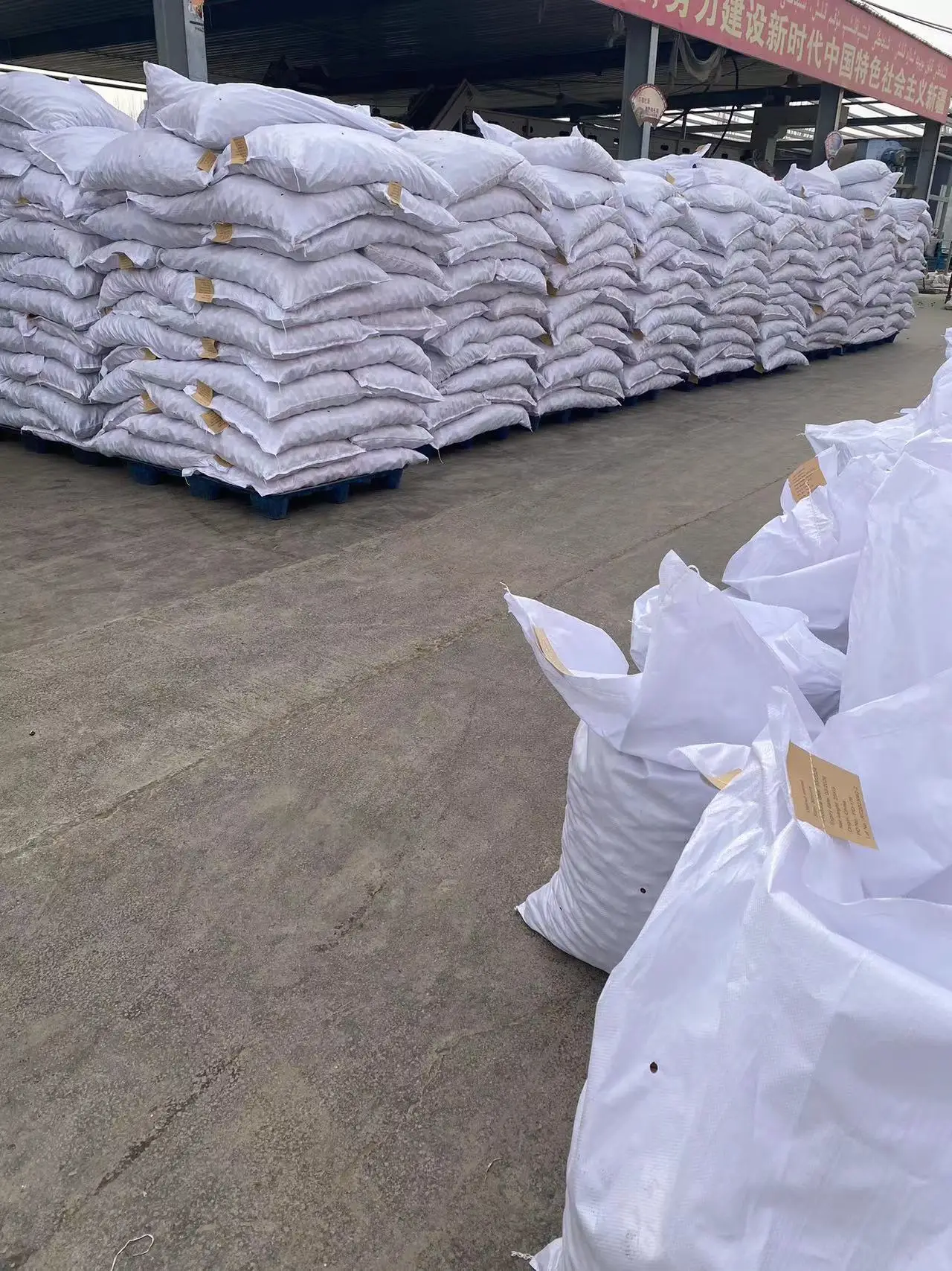 Factory direct Pumpkin kernel shine skin Seeds 25 kg package for sale