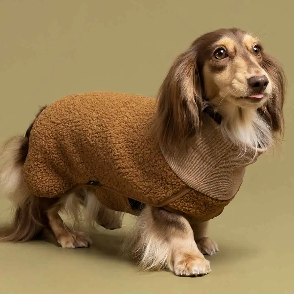 Qiqu Pet supplies custom New designer luxury Sherpa Turtleneck Dog Sweater pet Clothing For Dogs Dog Jersey for dachshunds