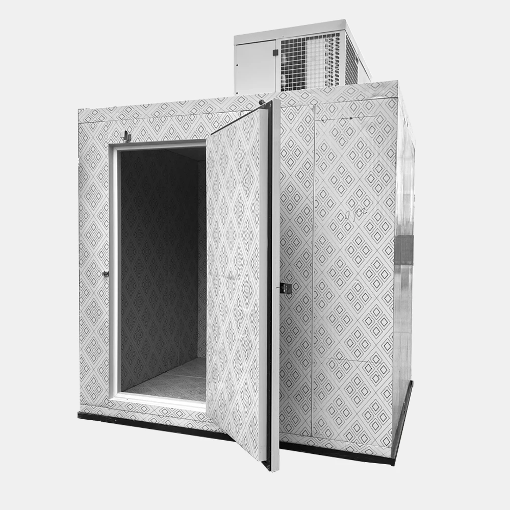 Freezer vegetable and fruit storage refrigerator Commercial refrigeration equipment can be customized size