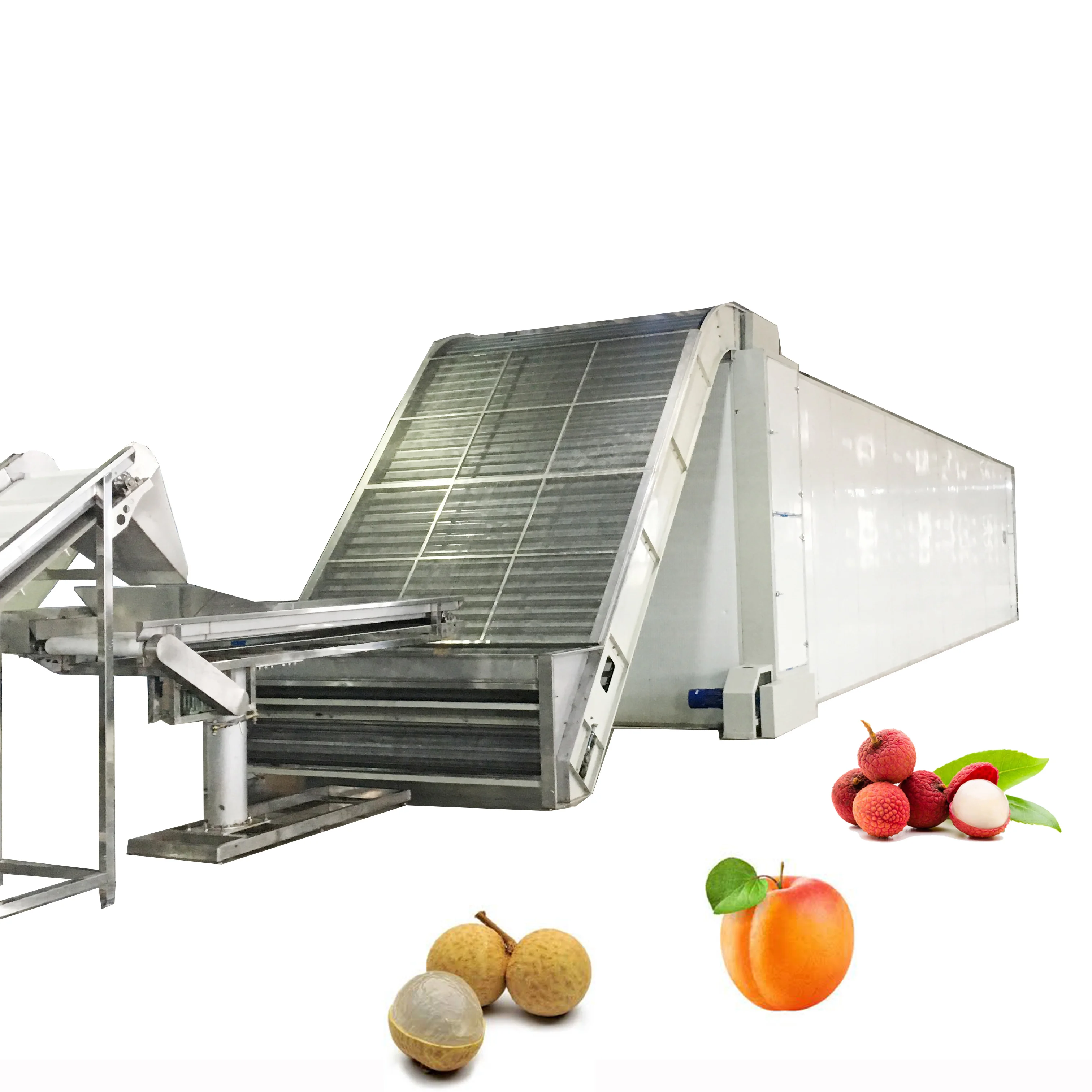 stainless steel   logan lyche apricot kiwi fruits drying oven with heat pump for industrial fruit dehydrator  drying equipment