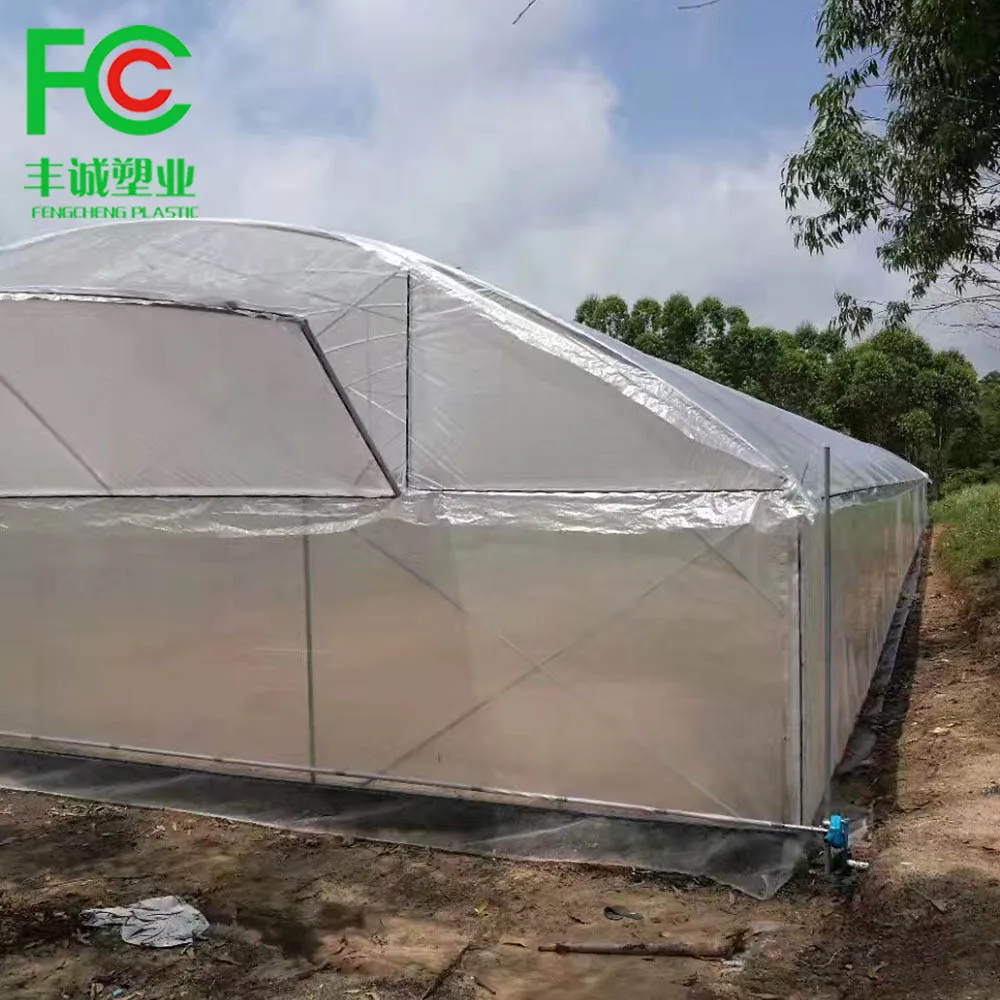 Low cost greenhouse China factory manufacture covered plastic film in wholesale