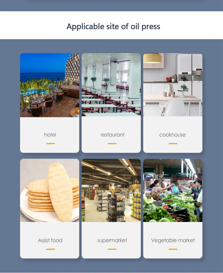 ML-15ZY palm fruit oil press machine line sunflower oil processing machine