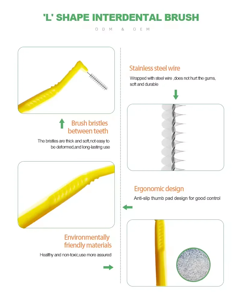 Eco-Friendly Orthodontic Dental Proxabrush Toothbrush Age-Appropriate Adults Clean Interdental Brush Effective Teeth Cleaning