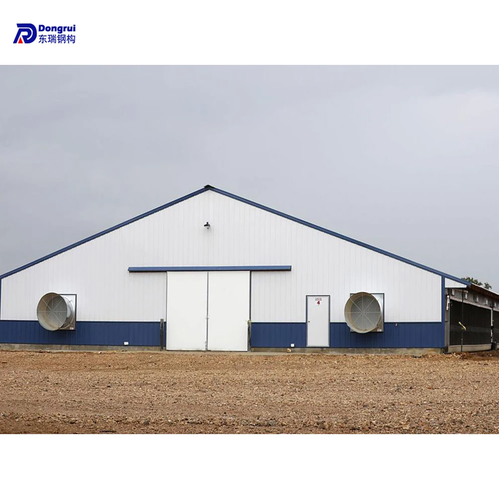 prefab modern houses of chicken poultry house construction