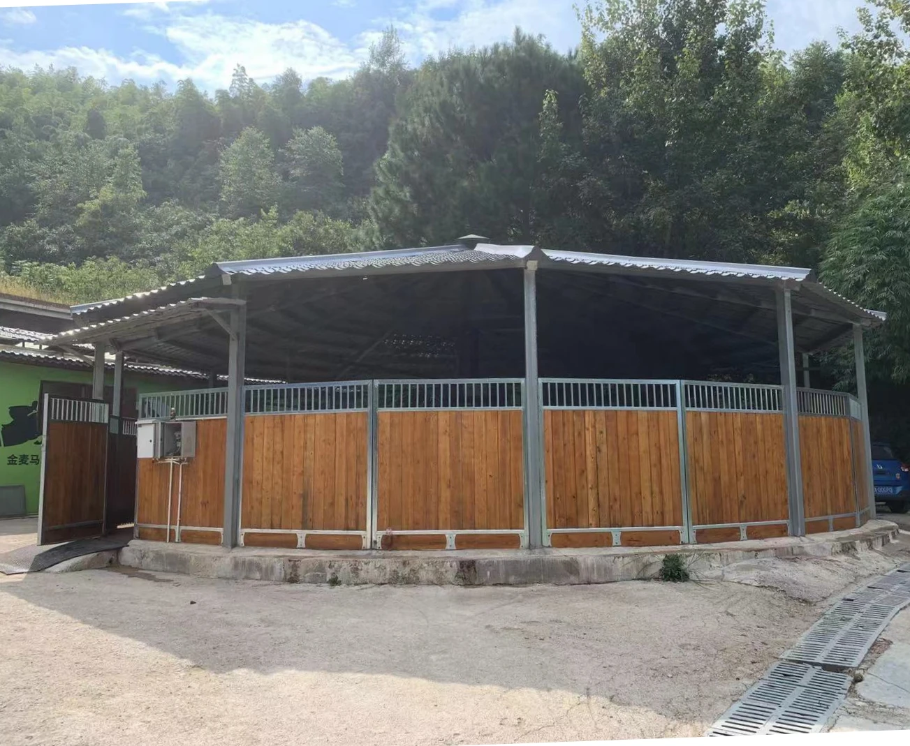 Horse walker for horse to exercise  Italy motor