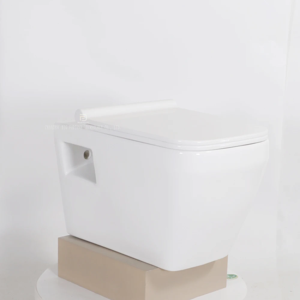 High Quality Wall Hanging Toilet Toilette Suspendue Concealed Flush Tank Wall Mounted WC Toilet