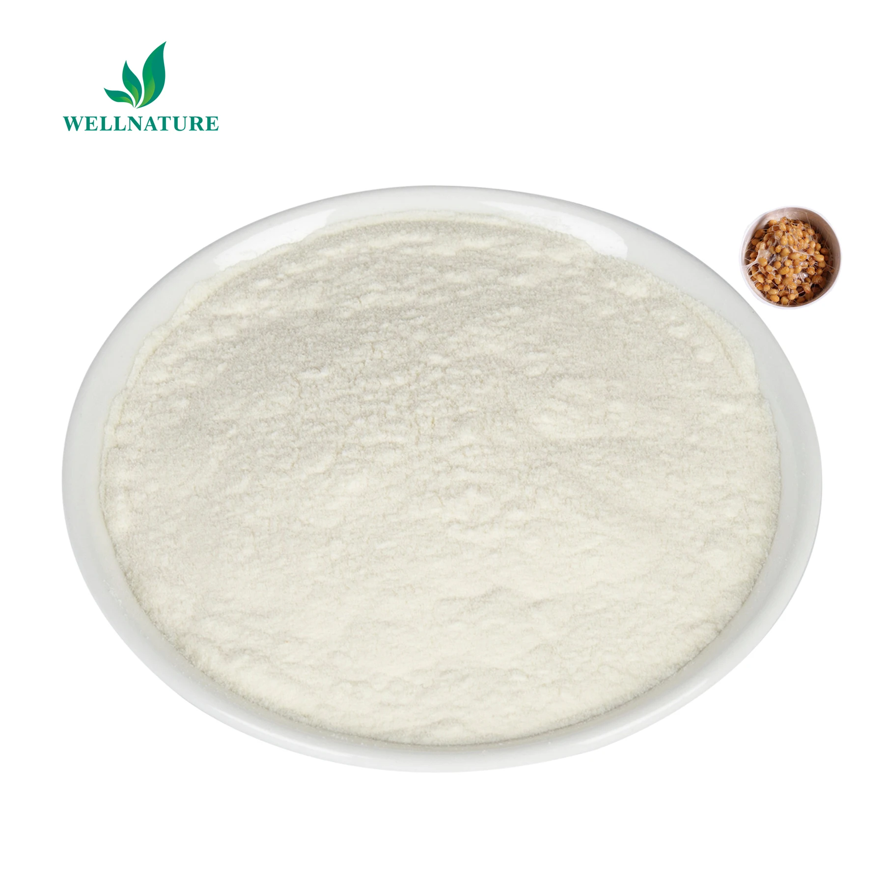High Quality Food Supplement Natto Extract Nattokinase 5000-40000U/g Nattokinase Powder