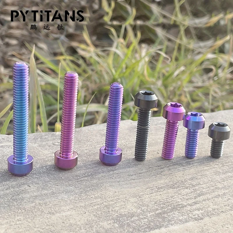 M8 Torx Socket Cap Head Gr5 Titanium Bolts Screws Titanium Fasteners Titanium Bolts Motorcycle Accessories by PYTITANS