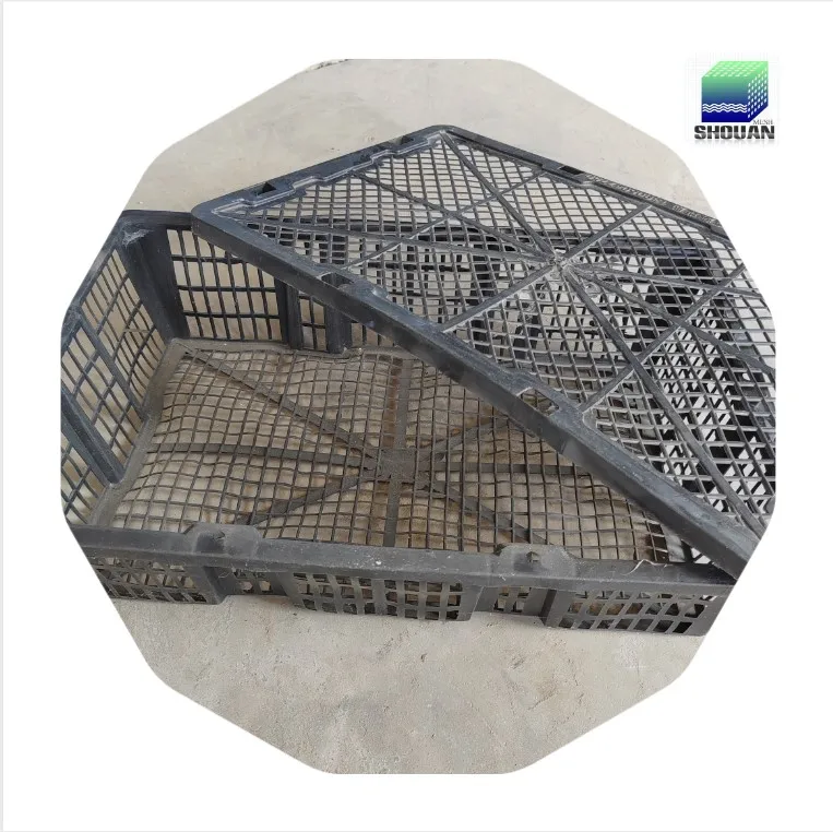 Seafood market Abalone  crate/basket  with custom size