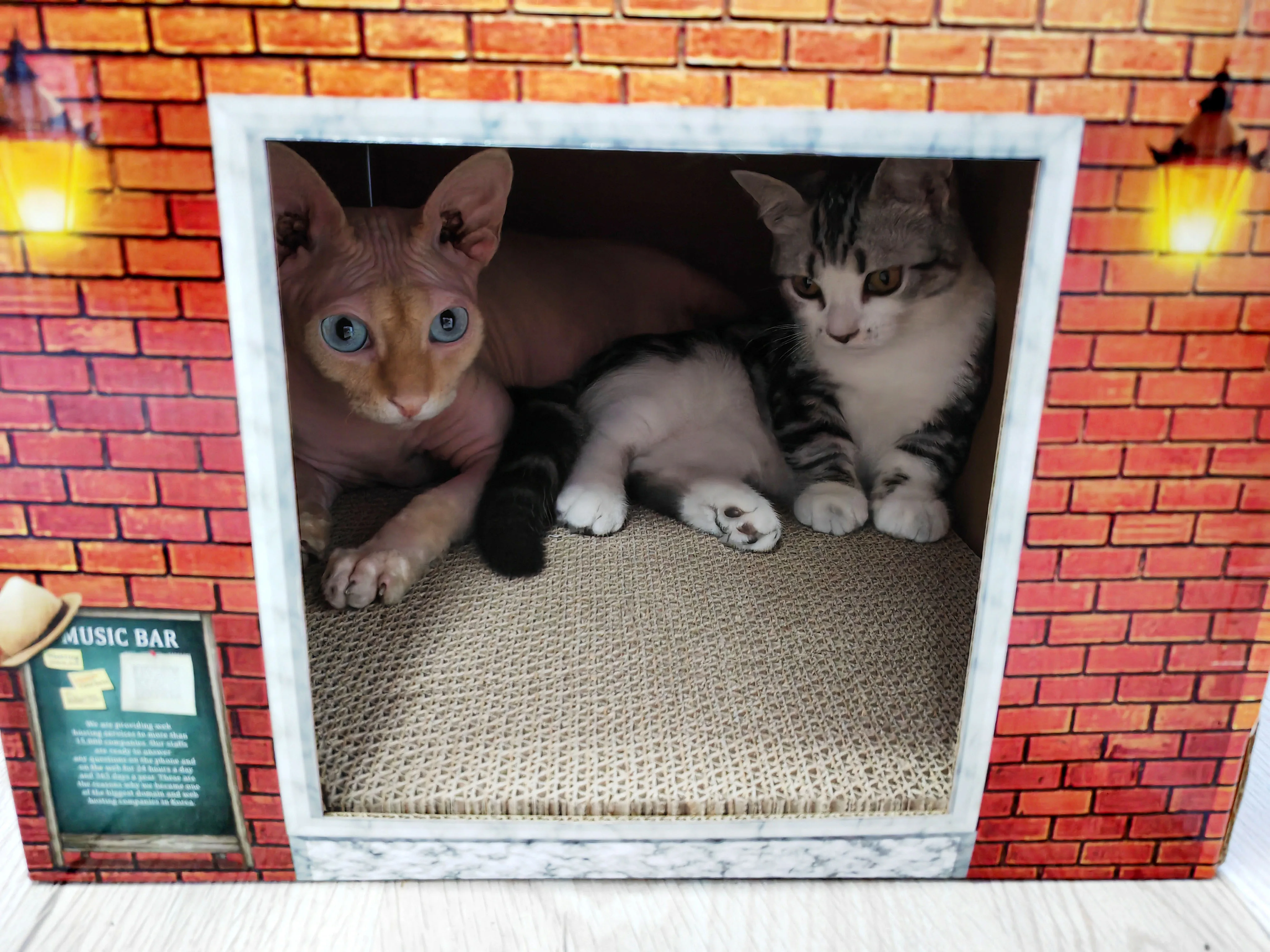 Corrugated cat scratch board double layers foldable cardboard cat house