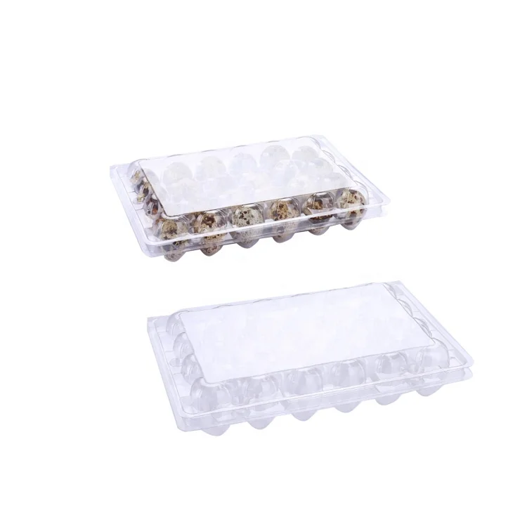 Customized blister plastic PET quail egg packaging tray