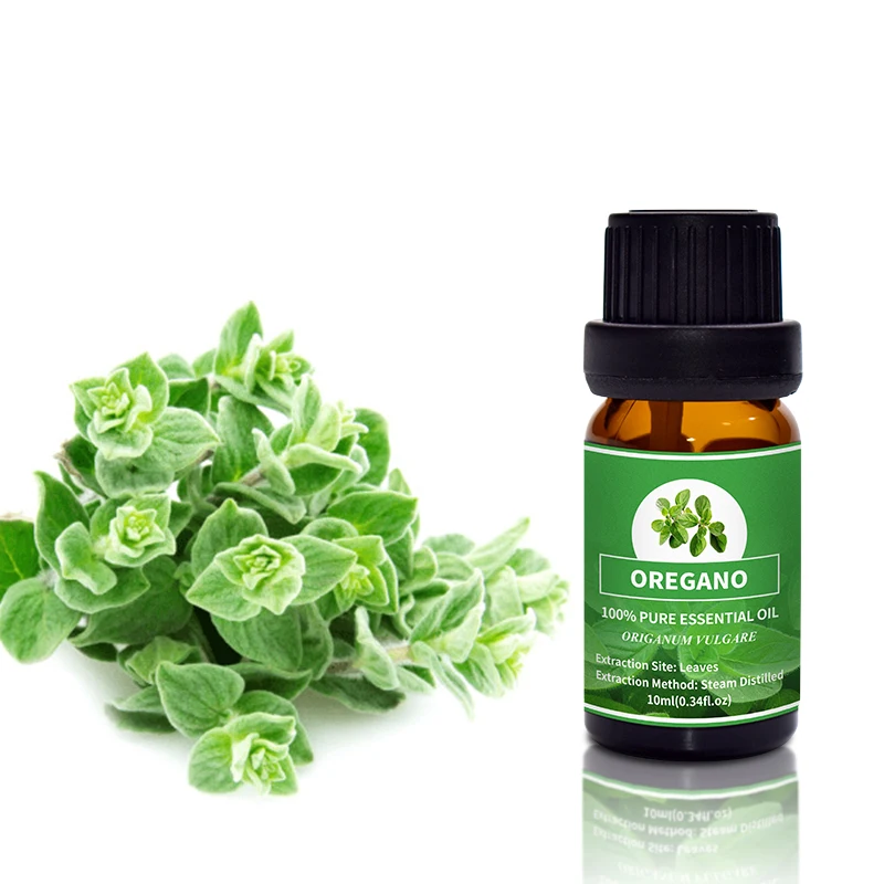Manufacturers Wholesale Trade Bulk Price Private Label 100% Natural Organic Wild Oregano Essential Oil, Pure Oil Of Oregano