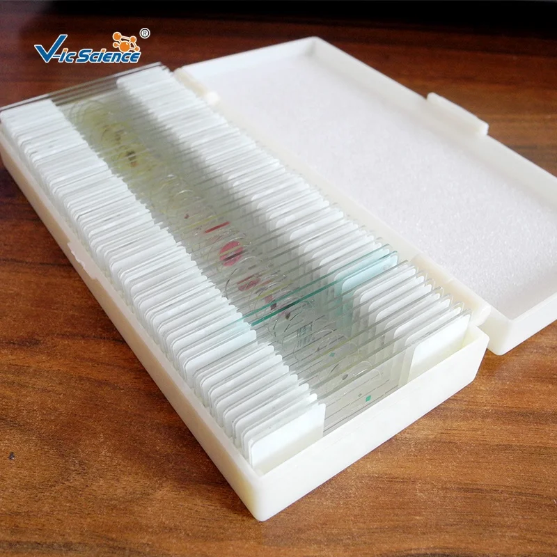50 Kinds Parasite Slides Set Student Medical Parasitology Prepared Slides