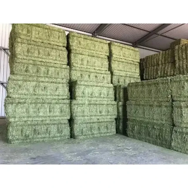 Affordable High-Quality Alfalfa And Timothy Hay For Animal Feed At Discounted Prices Best Animal Feeding Supplier