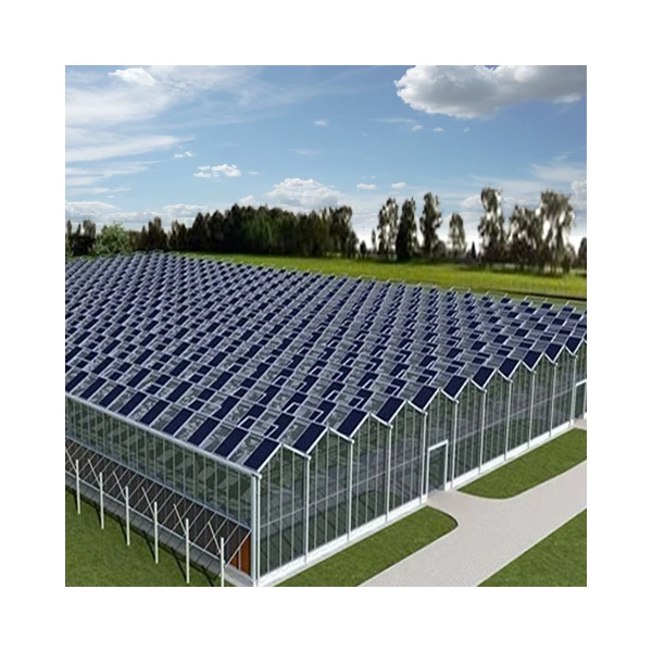Smart Agricultural Multi-Span Venlo Glass Greenhouse Solar Photovoltaic Solar Greenhouse For Sale