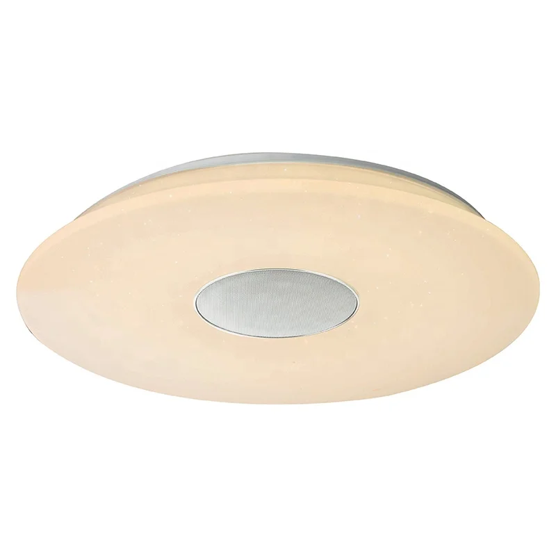 Smart 2.4G Remote Control Blue Tooth Music Speaker Round RGB CCT Adjustable Dimmable Lamp LED Acrylic Ceiling Light