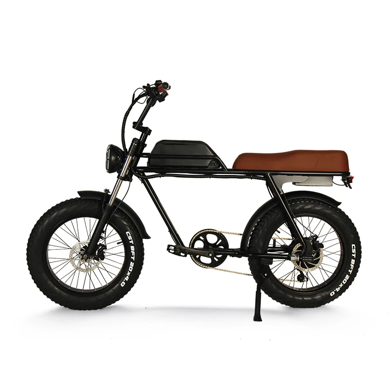 ADN-X6 48V 10.5Ah 500W Rear Hub Motor Retro Electric City Bike Bicycle Mountain Ebike 20Inch Frame Road EBike Fatbike