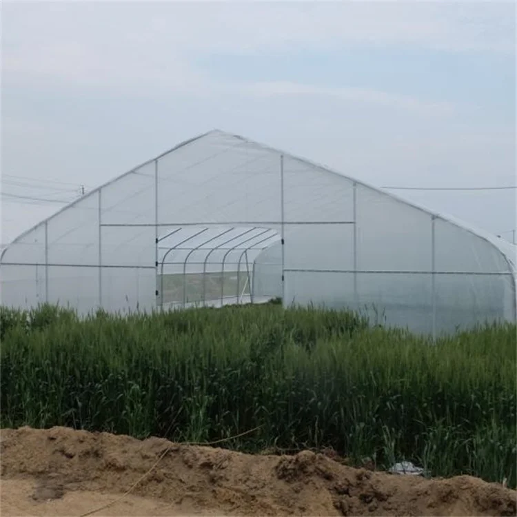 BAOLIDA serre gothique US CANADA agriculture length 100ft high tunnel plastic greenhouse