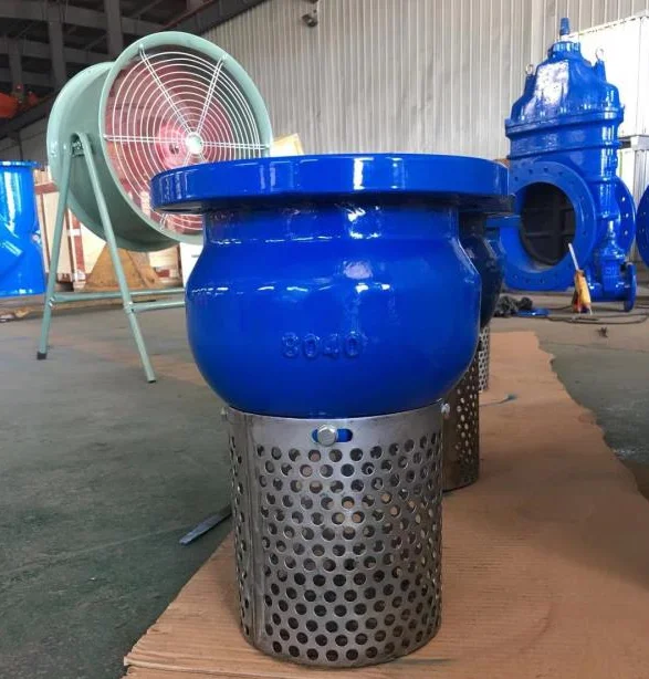 flanged Foot Valve with strainer stainless steel Foot Valve for water pump