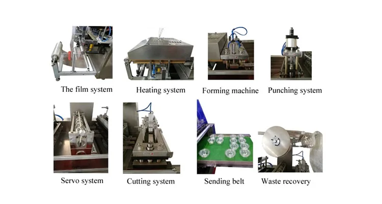 Wholesale Price Disposable PVC/PET/PS Plastic Coffee Lids Thermoforming Making Machine