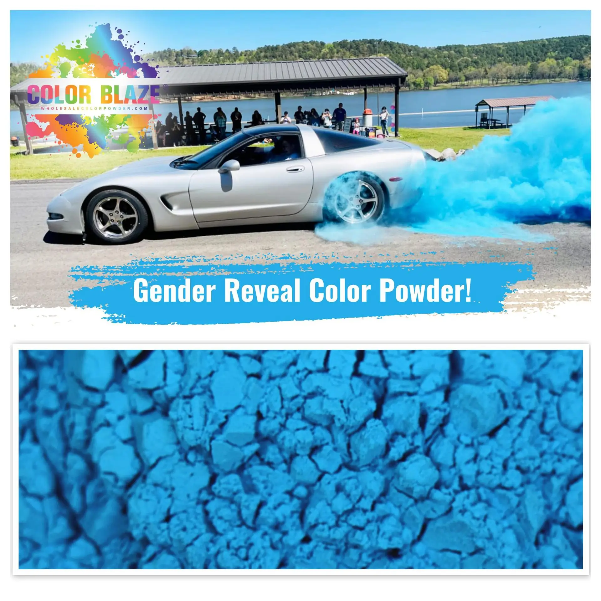 Food Grade Holi Colours Powder Party Decoration Boy or Girl Gender Reveal Powder Smoke Color Run Props