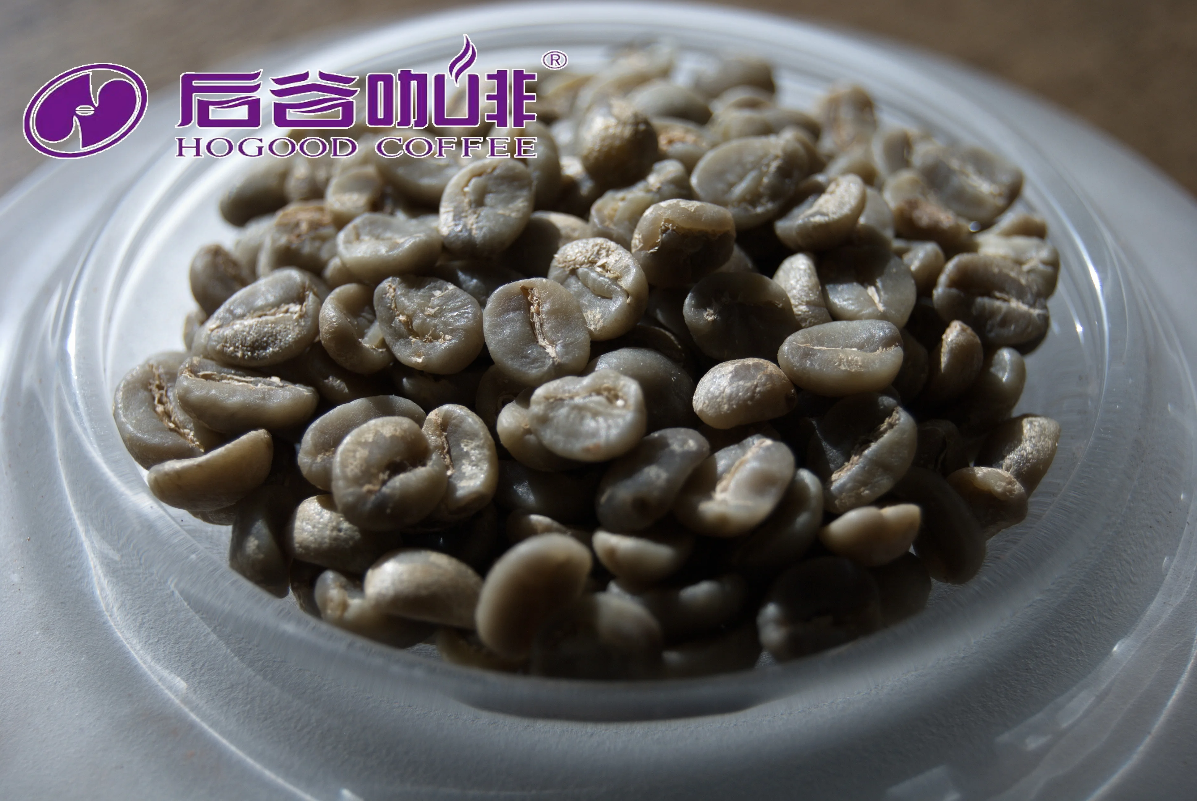 Hogood низкая цена Yunnan Robusta и Arabica кофейные зерна оптовая продажа