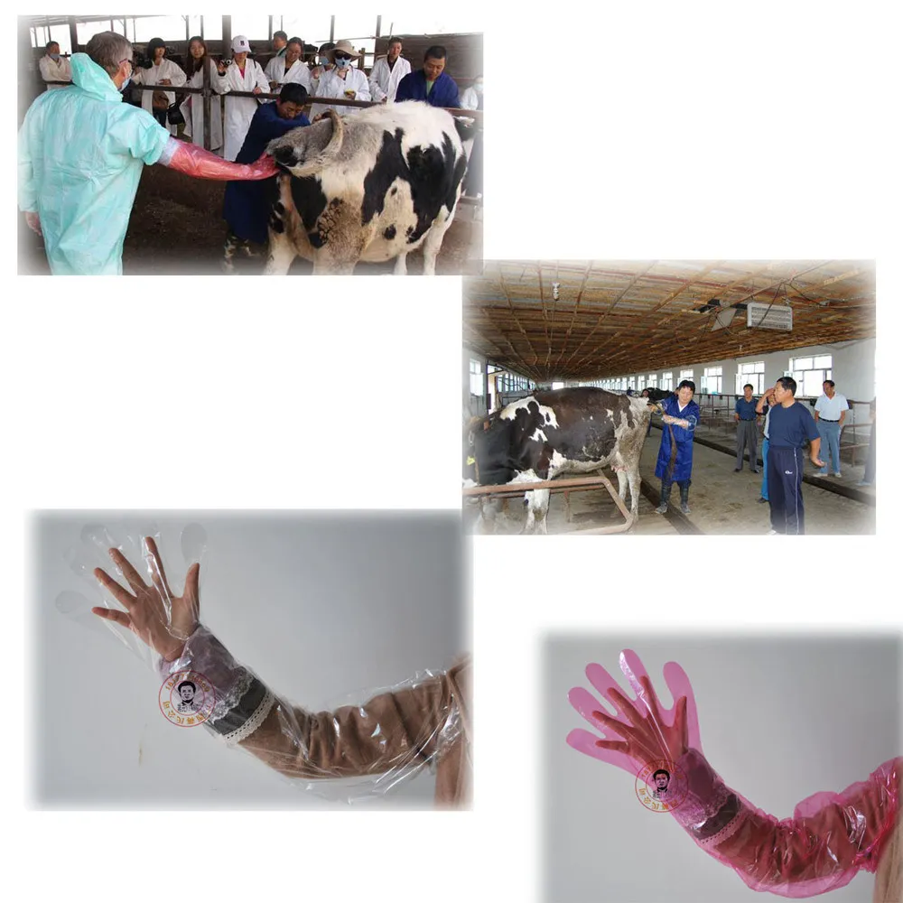 Jiangs Anti-Slip Disposable Long Rectal Glove with Handle Hanging Neck Glove for Veterinaria