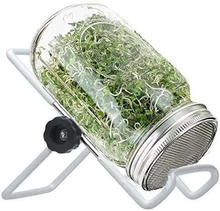 Sprouting Stand and Stainless Steel Sprouting Lids for Mason Jar