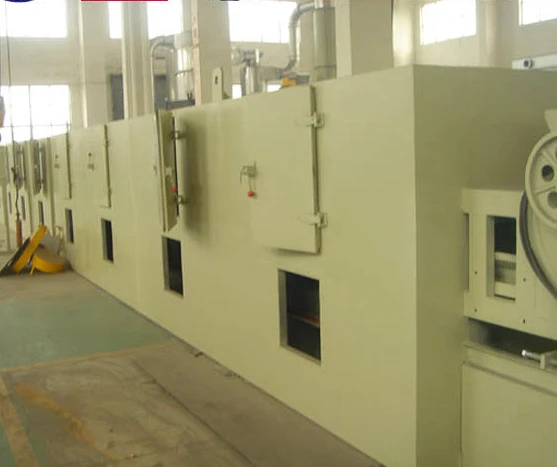 Vegetable and Fruit Dryer / Drying Machine (DW Series)