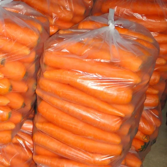 Fresh bulk carrot strip from China price