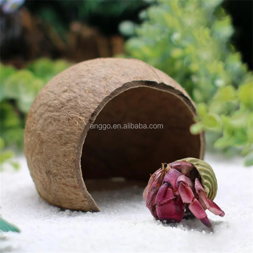 Parrot Bird Hamster Landscape Decor Lizard Spider Gecko Crawling Pet Shelter Hermit Crab Pet Supplies Coconut Shells Pet Nest
