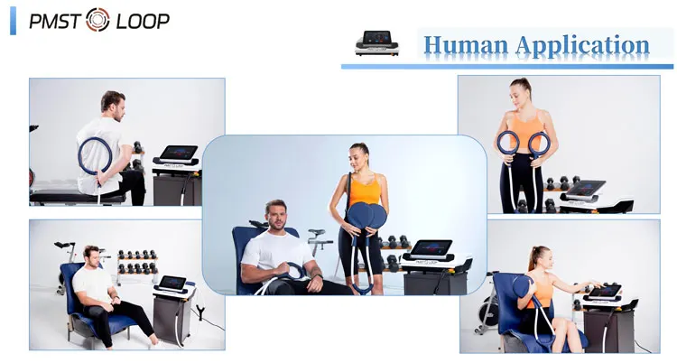 mat PEMF Equine And Human Pain Relief Machine Pulsed Electromagnetic Field PMST LOOP PRO MAX pemf Magnetic Therapy Machine