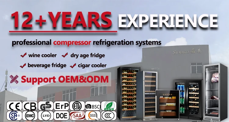 Wholesale 24 Bottle Freestanding Small Champagne Refrigerator Two Zone Wine Cooler