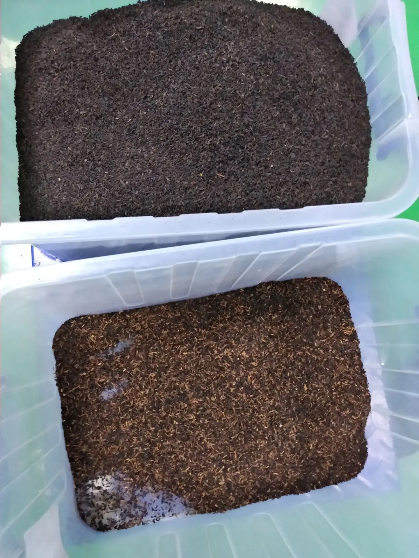 Black tea color sorting machine cheap price high accuracy green tea color sorter grading machine selection machine for industry